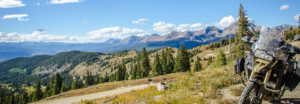 Top of Cottonwood Pass