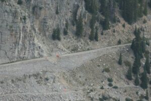Recent damage by a snowslide taken by Plane of the Palisades 
