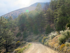 Marshall Pass road