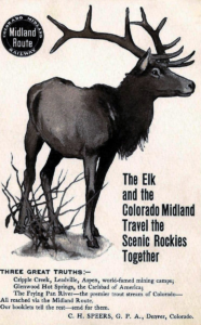 The Midland Railroad elk