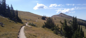 Singletrack right on the Continental Divide
