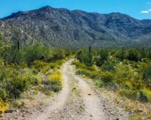 2 Track in Wickenburg, AZ