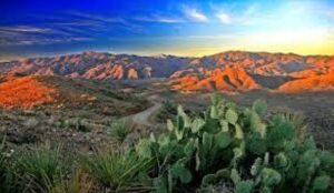 Mountains & Cacti near Wickenburg, AZ