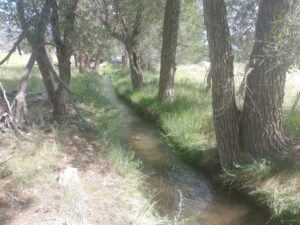 One of the 2 irrigation creeks at X-Roads BV