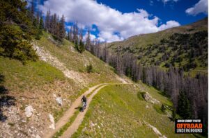 2 Track near Treeline