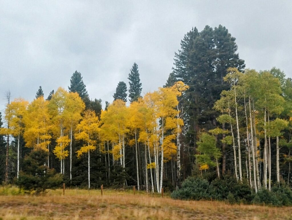 ASPENS