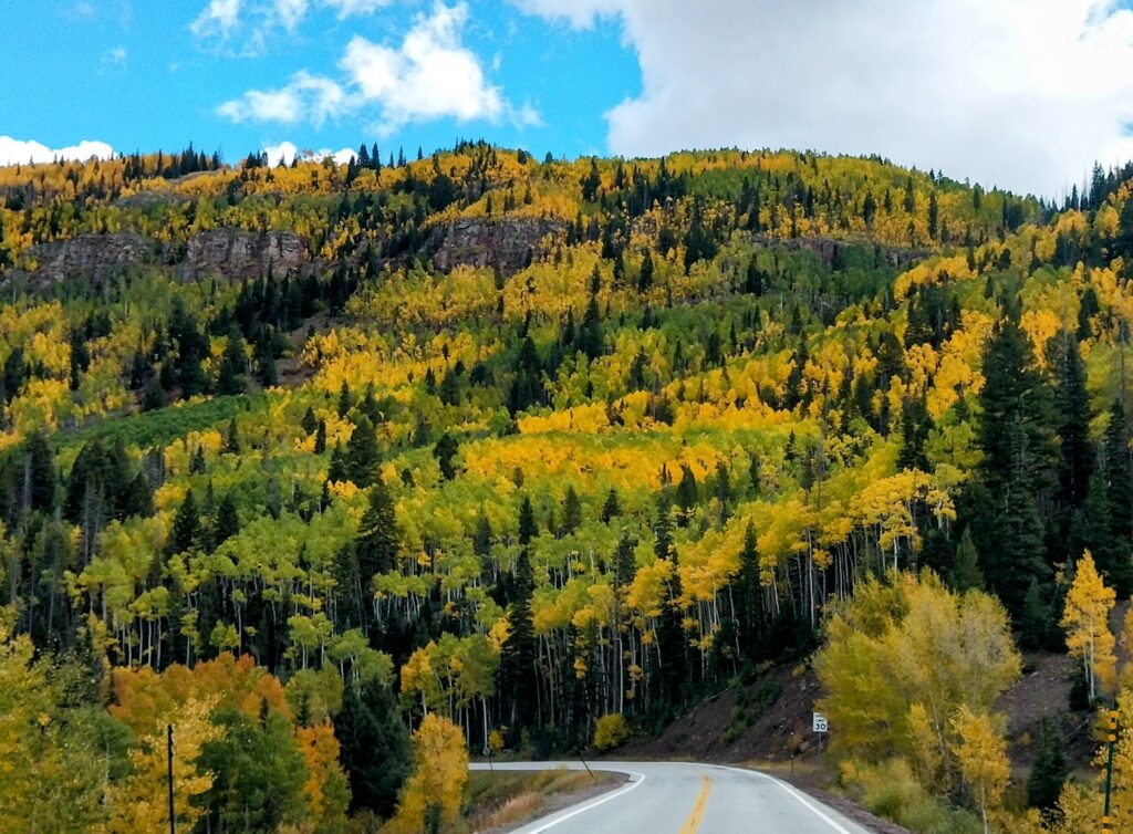 ASPENS